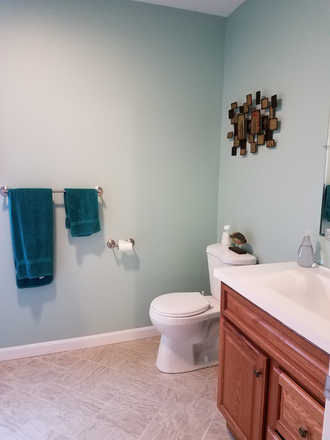 updated bath/shower - Furnished room available January 1st, Beautiful home, Walk to campus, Respectful/Quiet Rmates