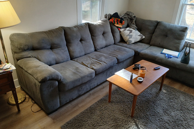 Living Room, some furniture available. - CUTE HOUSE in OLD TOWN.  PARK HERE, WALK TO CLASS AND METRO. QUIET NEIGHBORHOOD, PRETTY YARD.