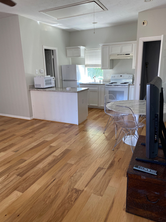 Open and airy with nice sunlight - Garage Apartment in safe, quiet neighborhood