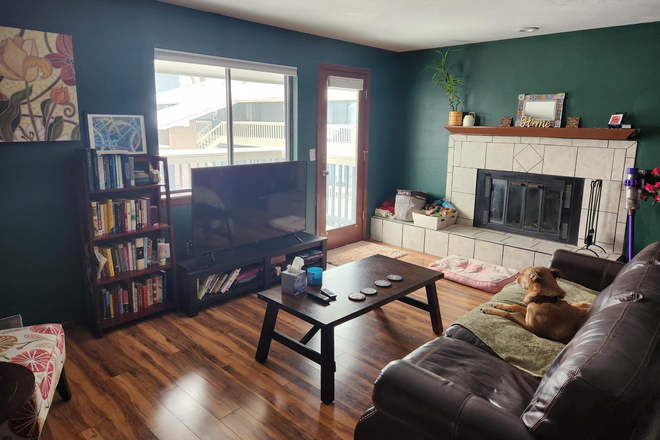 Living Room - *Furnished* 2bd/2ba Dog friendly, direct bus to campus!