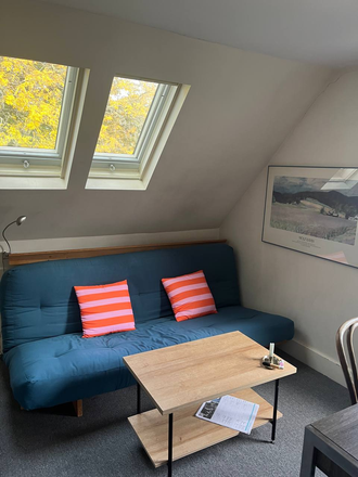 sofa bed - Cozy Furnished Apartment for Sublet in Cambridge