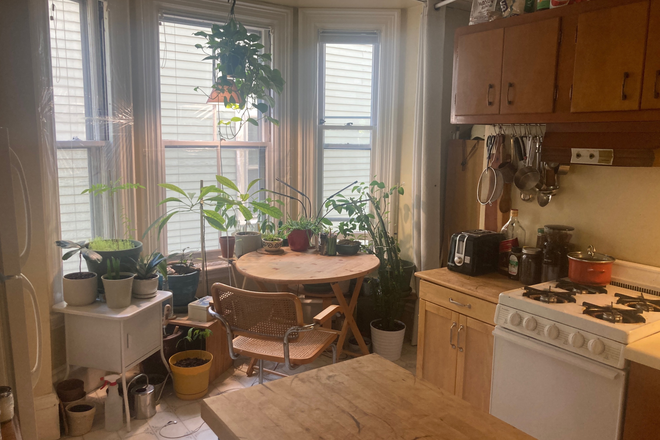 Kitchen with plants - $1610 Spring Hill Studio with eat-in kitchen avl 07/01/2026 (flexible)