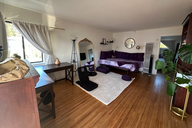 Living room - spacious 1-bedroom near Univ Ave and BART