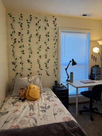 Bedroom - bed & desk - Apartment on Fowler close to campus & Chauncey