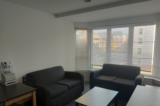 Living room with 2 couches, 3 tables - South Campus Commons #7 Room in 4 bedroom 2 bathroom apartment