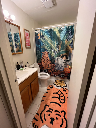 Bathroom - Dec-Jan:1BR apt-Blue Spring Rd-Princeton