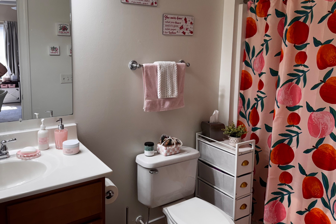 Bathroom - The Pointe Apartments