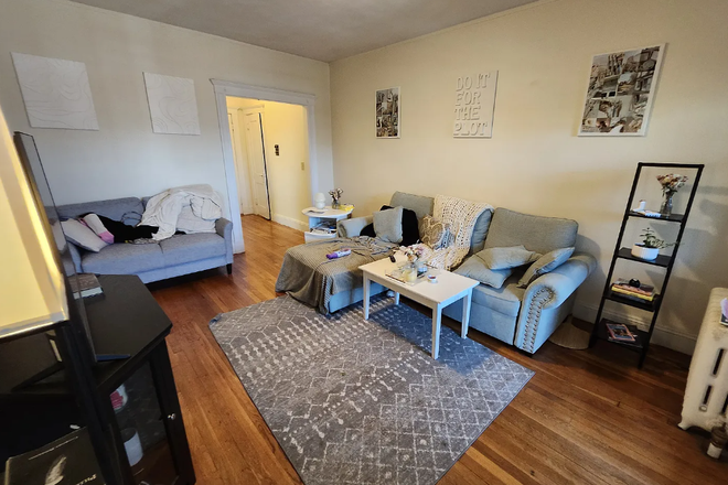 Call NOW for showings! 617-236-8550 - MELVIN AVE - *NO FEE* WASHINGTON SQ AREA TRUE 2BR/1BA AVAIL *9/1/2026* W/ LNDRY IN BLDNG, H&HW INC! Apartments