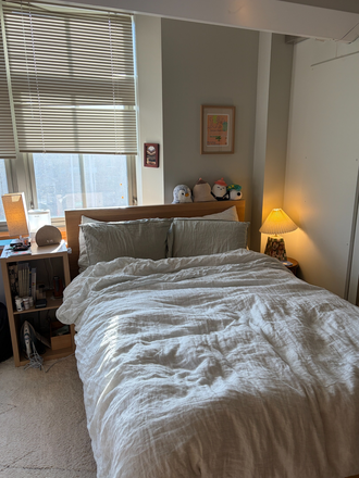 Bed - Seeking Summer Subletter (flexible dates; all utilities INCLUDED) Apartments