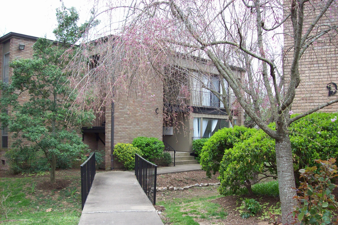 Exterior view - ★ 5 miles to Vanderbilt ~ Real golden oak flrs ~ Bonus Florida Rm Condo