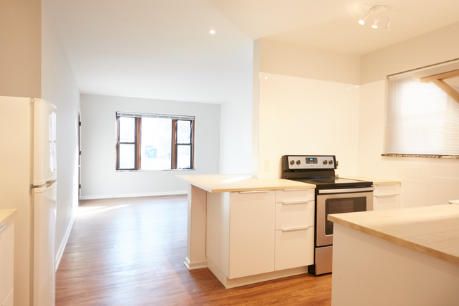 view of kitchen and living room - 1BR in DEMUN CLAYTON perfect for grad student walkable to campus and all amenities