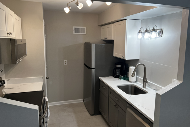 Fully renovated kitchen - Turtle Creek Condo close to campus and hospital