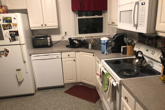 kitchen - Walk to campus, 4 Bedroom 2 Bath clean home, hardwood floors, washer/dryer, great yard