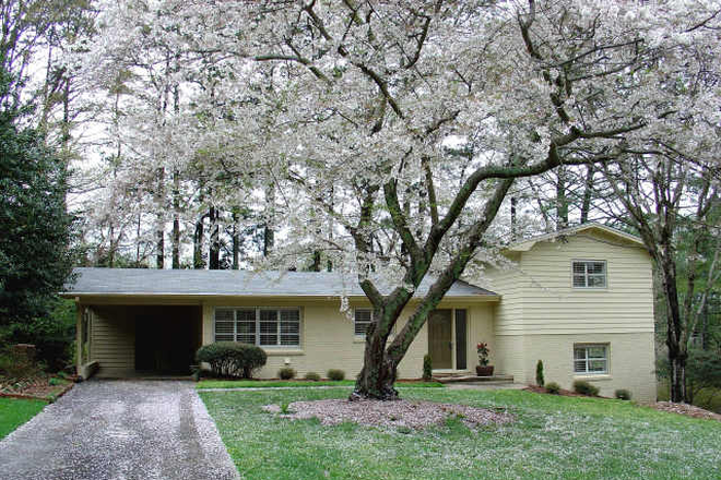 Front Yard - Winter 2024: Live in a Beautiful Neighborhood near Emory (women only) House