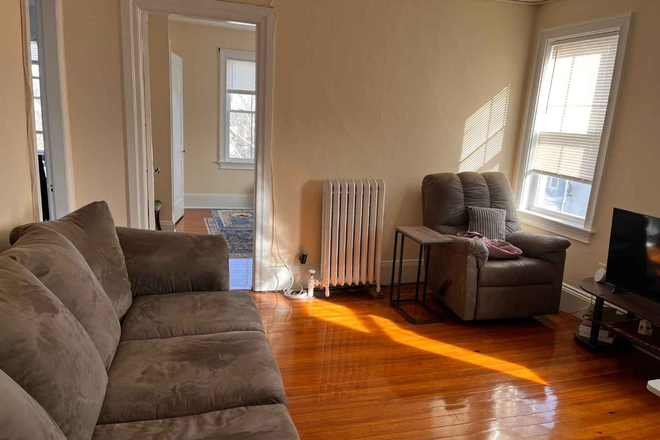 Living Room - Summer Sublet– Furnished 1BR, Walk to Campus + Parking Apartments