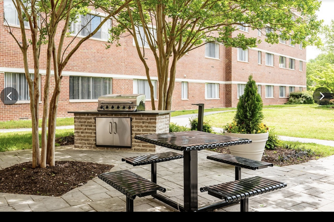 Outdoor Area - The Social at 3900 North Charles Street Apartments
