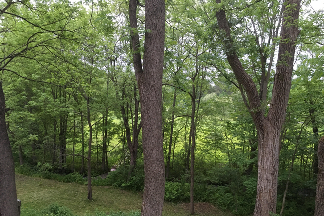 field - Amherst farm house/apartment available 12/14/25