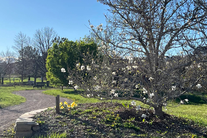 Property is walking distance from Louisville Arboretum - Condo Near Louisville Arboretum