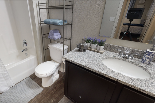 Bathroom - Lease Takeover ASAP - Prime Place Furnished XL Private Room/Bath, 1st Month Free