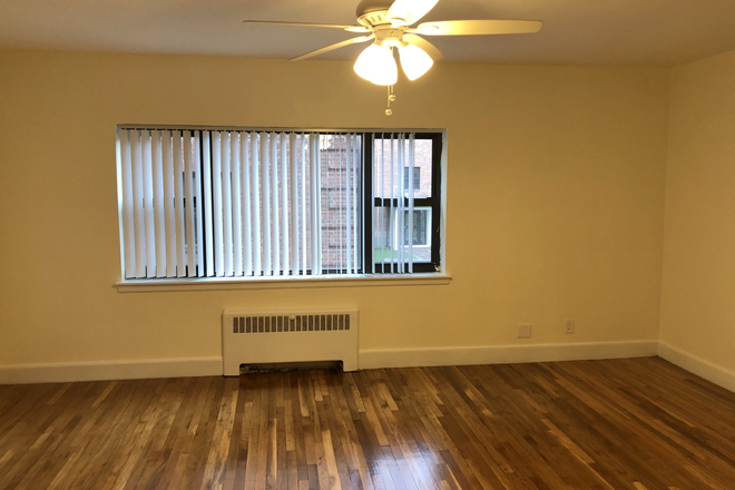 living room - All newly renovated, very spacious 3 bed 1 bath on Longwood Ave! Avail 9/1 Apartments