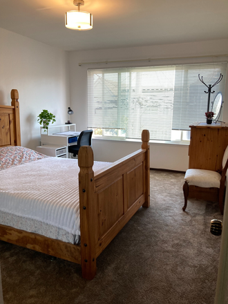 bedroom - Beautiful & Sunny ROOM FOR RENT - walking distance from USF