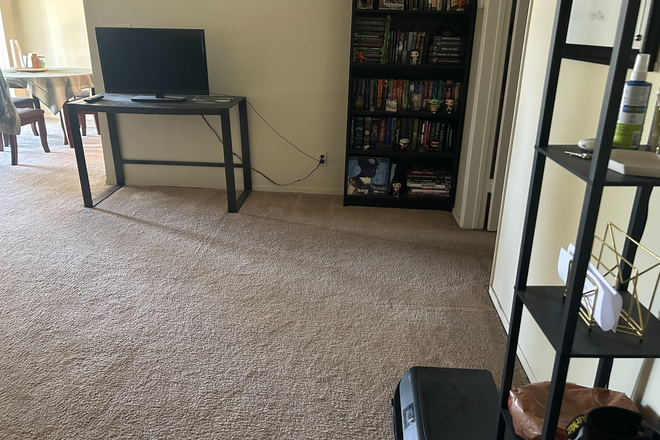 Livingroom view from entrance - 2 bed / 2 bath apartment. 1 room available!