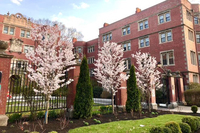 Outside - 1BR in a 3BR APT in Brookline Available March 1st