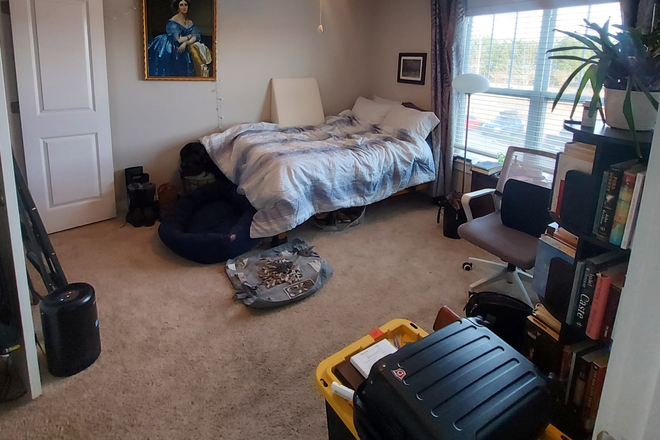 bedroom offered - Need roommate for 2-bedroom apartment, 15min from main campus