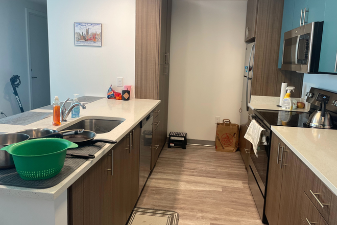 Kitchen Pt. 2 - Room open from June 1 - July 31 2026 in 4x4 apartment at Union on Knox