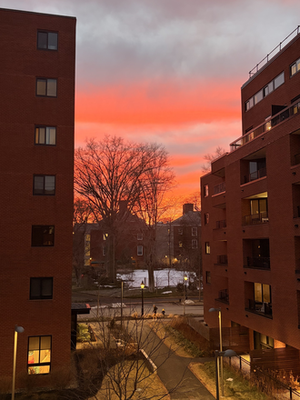 Picture of view outside the balcony - Soldiers Field Park Apartments