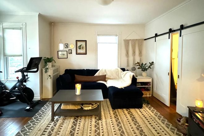 Living Room - AVAILABLE NOW! Newly updated 2 BR in amazing Davis Sq - parking & washer/dryer on-site