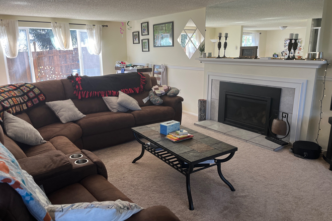 gas fireplace in primary living room - Large, Quiet House with yard in Friendly Neighborhood