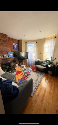 Living room - Sunny2b1b, 5min to NEU,partial utility included