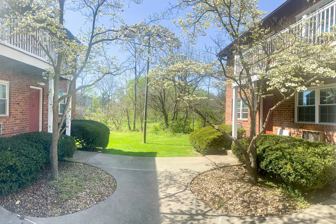 Exterior Courtyard - 1 BD / 1 BA CLOSE TO CAMPUS! Apartments