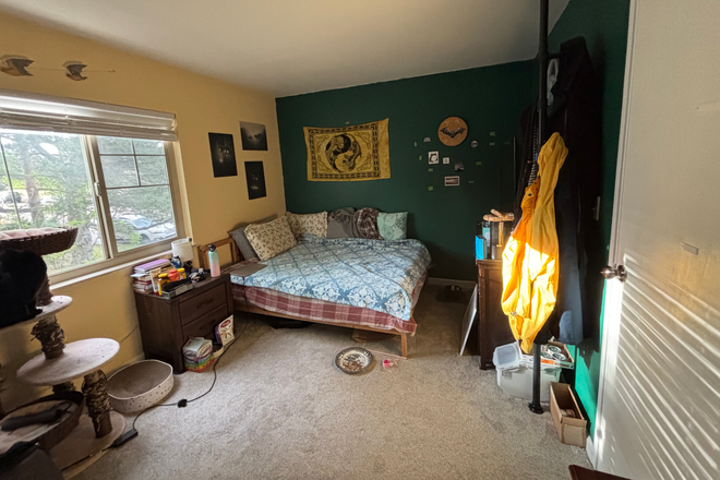 The room being rented (cat not included) - South Boulder Townhouse Room, close to DASH & 204 Bus Lines