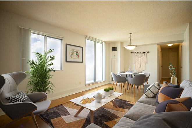 The Elmwoods - The Elmwoods