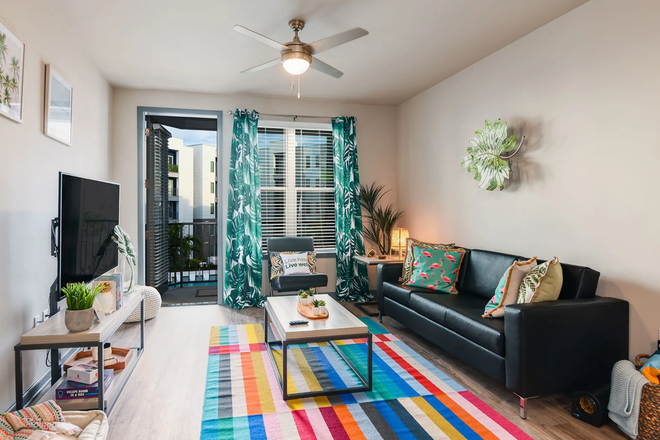 living room - Union on Fletcher Immediate Move Into Full Vacant 2x2 Apartments
