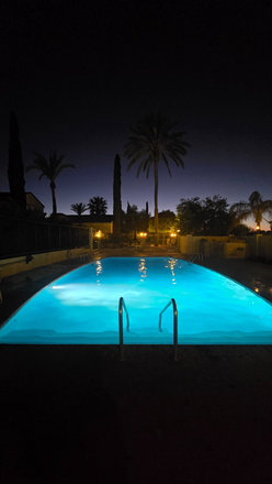 Pool - Desert Oasis