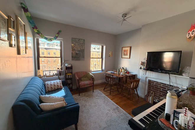 Living Room - 1 Bed Summer Sublet in 3 Bed Mass Ave Apartment!