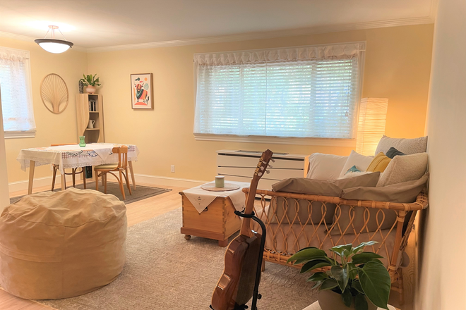 Layout view - Newly renovated/furnished! Gorgeous studio apartment (includes utilities, washer/dryer, parking)