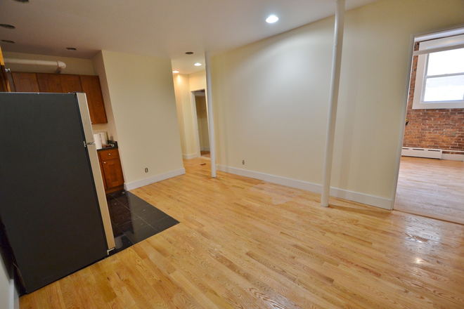 Living room - Brand New 4 Bed 1 Bath on Peterborough St! H&HW INCL! Avail 9/1/25 Apartments