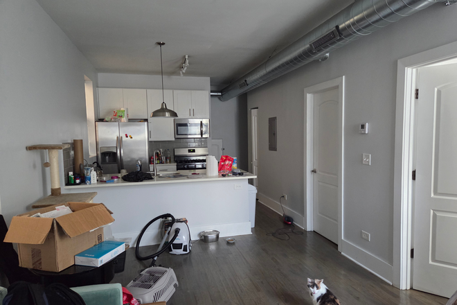 Living room + Kitchen - Pilsen 2-Bedroom apartment, seeking 1 roommate. In unit laundry + A/C.