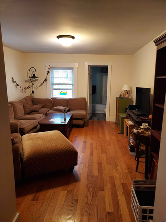 Living room - 2 roommates needed in apartment near Roxbury crossing!