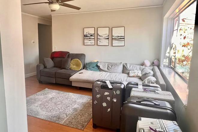 Living room - Super close to campus, all female identifying apartment!!