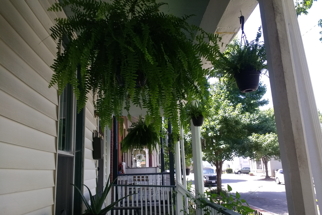Front porch - VCU is 3 blocks away, 4 bedroom, 2 full baths, front porch, fenced backyard, whole house