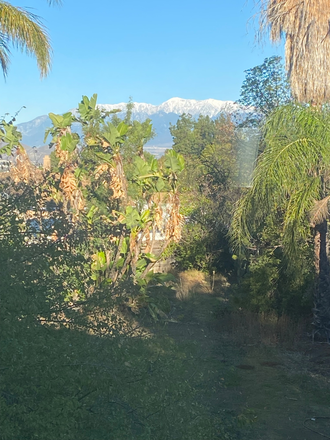 View from the backyard - Walk to UCR, Private Room, private bath