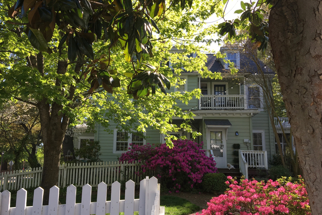 Pathway to back door - Room at Colonial Capital B&B, Across from Alumni House and Zable Stadium