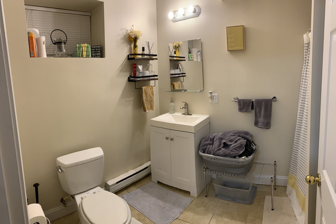 Visit hubrealtyproperties.com - Large one bedroom, basement level, on the T in Mission Hill Apartments