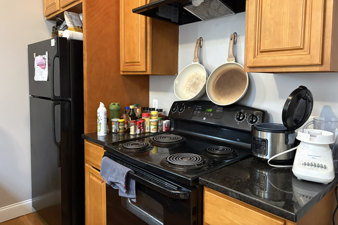 OPEN CONCEPT Living Room/Kitchen - NO FEE!!! **Laundry IN UNIT**! BIG Bedrooms, NEWLY renovated - central A/C