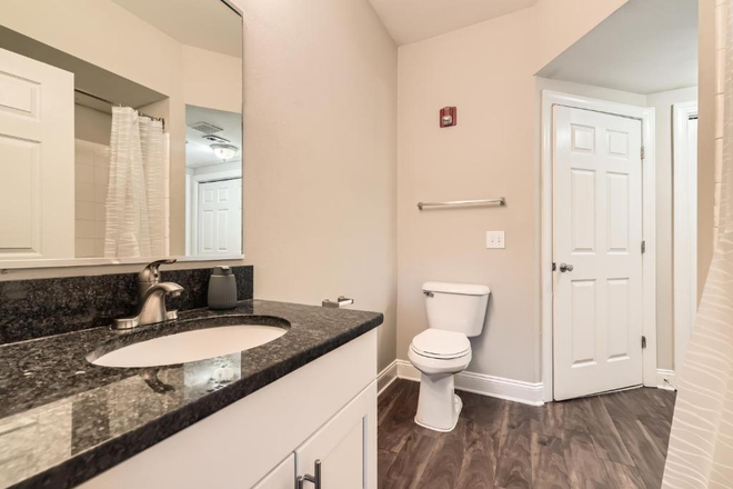 Bathroom - Newly Renovated 1 Bedroom/1 Bedroom 5 minutes walk to the Campus Apartments